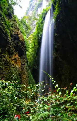 重庆,贵州赤水,武隆游