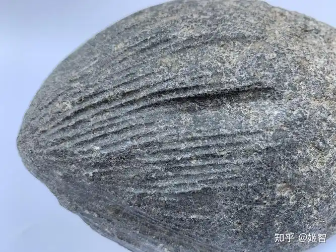 定向cr碳质球粒陨石