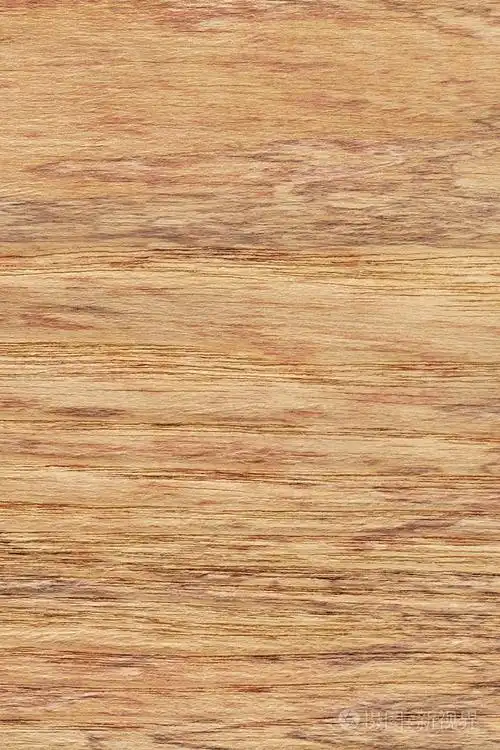 天然橡木木材单板遮住斑驳的 grunge 纹理样本