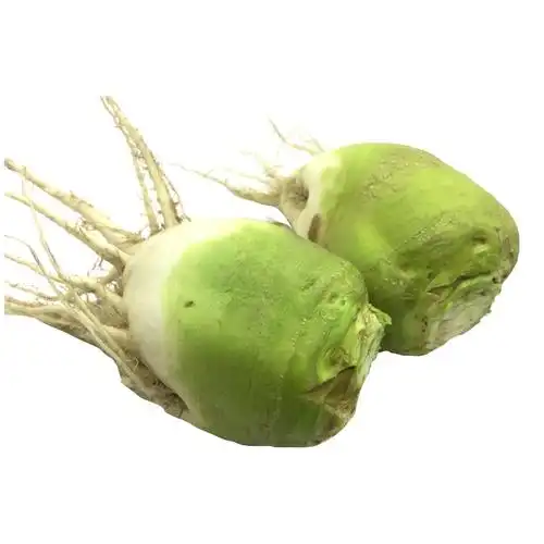 芥菜疙瘩22年现挖新鲜山东辣菜5斤大头菜咸菜其它