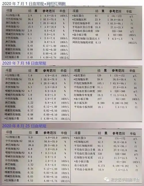 ④ 生化检查:血清叶酸测定 6.91nmol/l,血清维素b12 74～103pmol/l.