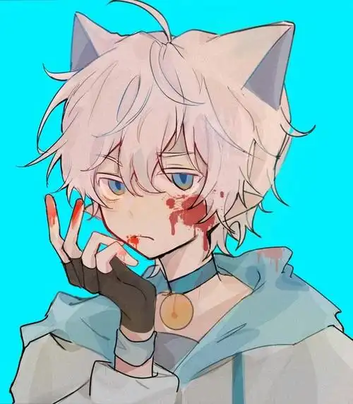 喜猫猫 - 堆糖,美图壁纸兴趣社区