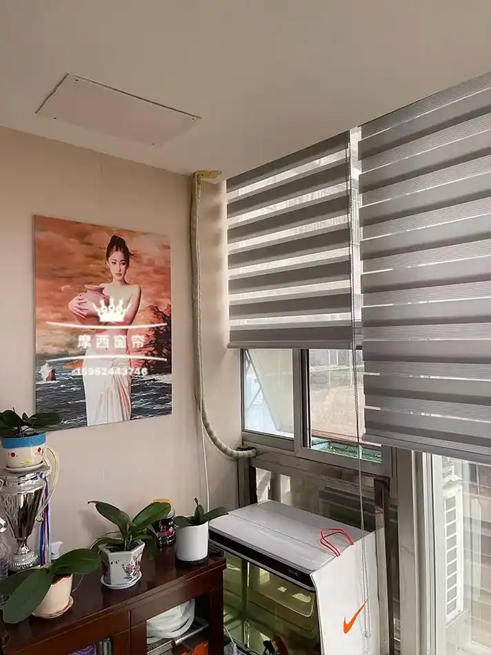 苏州办公室办公窗帘柔纱帘卷帘