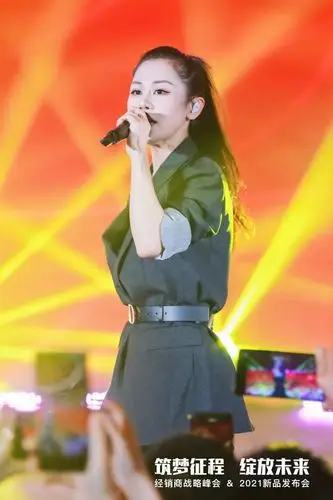 群星荟萃唱响帝奥斯门窗庄心妍梁汉文梦然助阵帝奥斯新品发布盛典