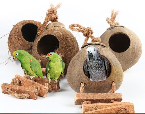 安吉派特 鸟窝椰子壳窝虎皮鹦鹉窝鸟巢小鸟窝 繁殖窝鹦鹉用品包邮