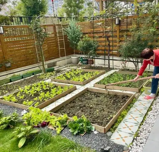 我的小院面积很大,起初还不知道怎么设计好,后来老妈过来后,果断开了