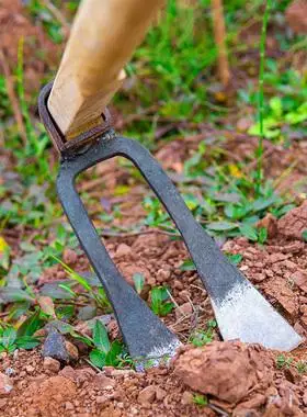 5券后月销 100淘宝店1元券山东 临沂去看看临沂五金城工具店搂草耙子
