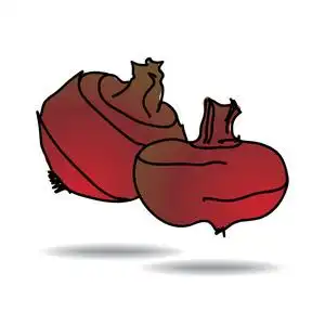 写意画荸荠图标照片