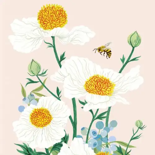 画花插画师oanabefort