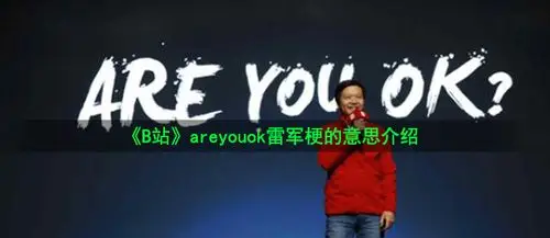 《b站》areyouok雷军梗的意思介绍