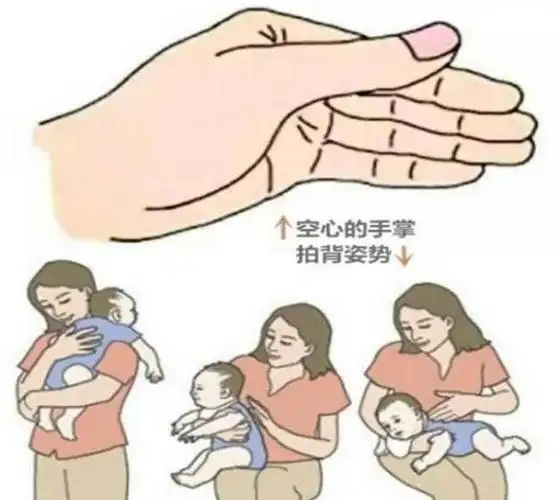 拍嗝姿势有竖抱和坐抱之分.这里,我们按照 竖抱拍嗝来讲解一下