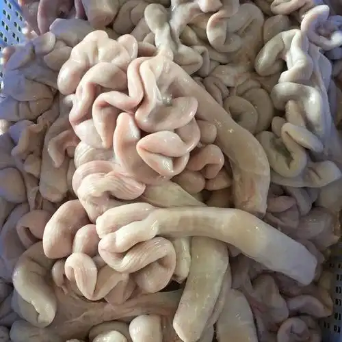 猪肠功效与作用猪大肠的营养价值和功效