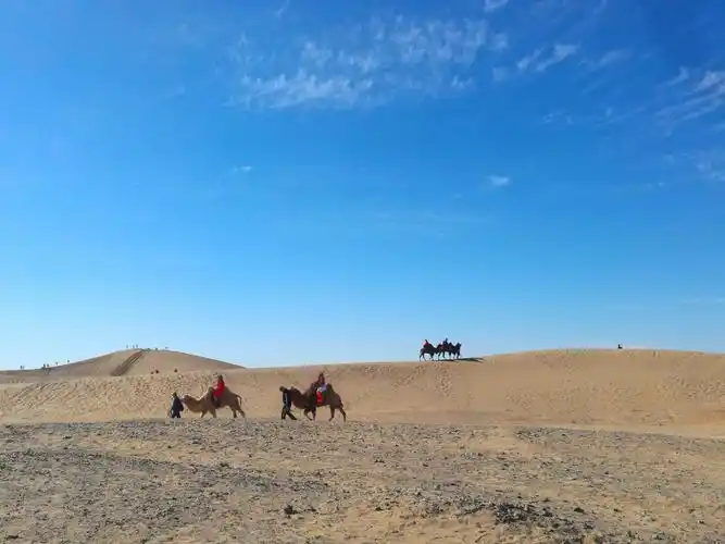 大漠黄沙,胡杨秋浓---漠北寻秋(六)