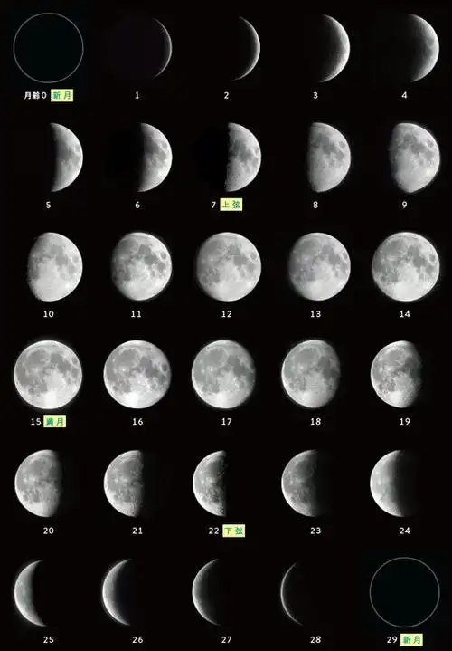 月亮|《鬼灭之刃》中出现的上弦,下弦是什么月份?观测夜空得出的结论