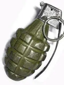 网友:红海行动很真实|保险|手榴弹|手雷_新浪新闻