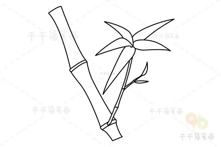 幼儿竹子简笔画图片