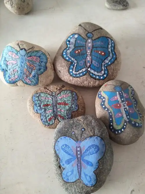 石家庄市循环化工园区东宽亭小学石头画社团