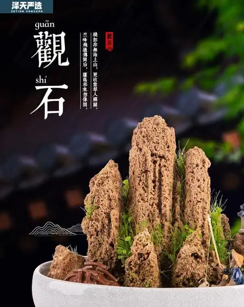天然上水石吸水石小型假山石盆景石头鱼缸微景观原石造景装饰摆件2块