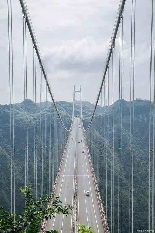 例如武汉长江大桥是一座铁路公路两用的钢桁梁桥,武汉长江二桥是一座