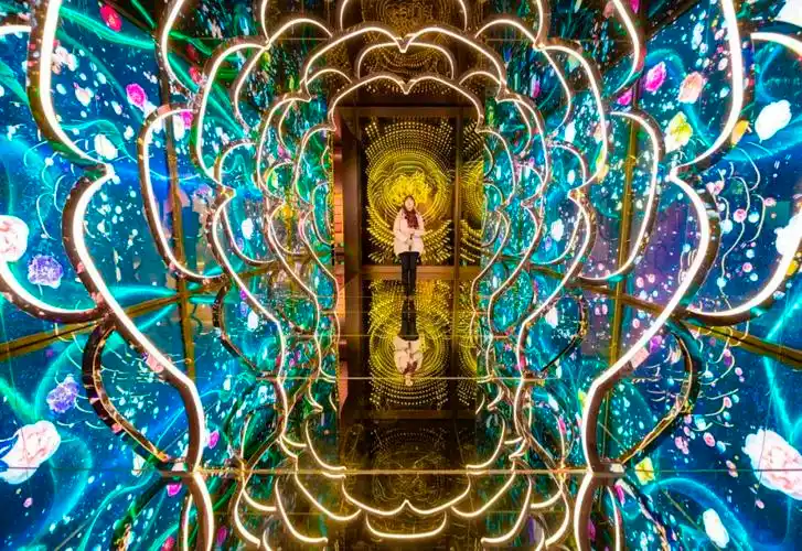 5亿元,包含牡丹博物馆,牡丹园,各类沉浸式体验项目等,是集收藏研究