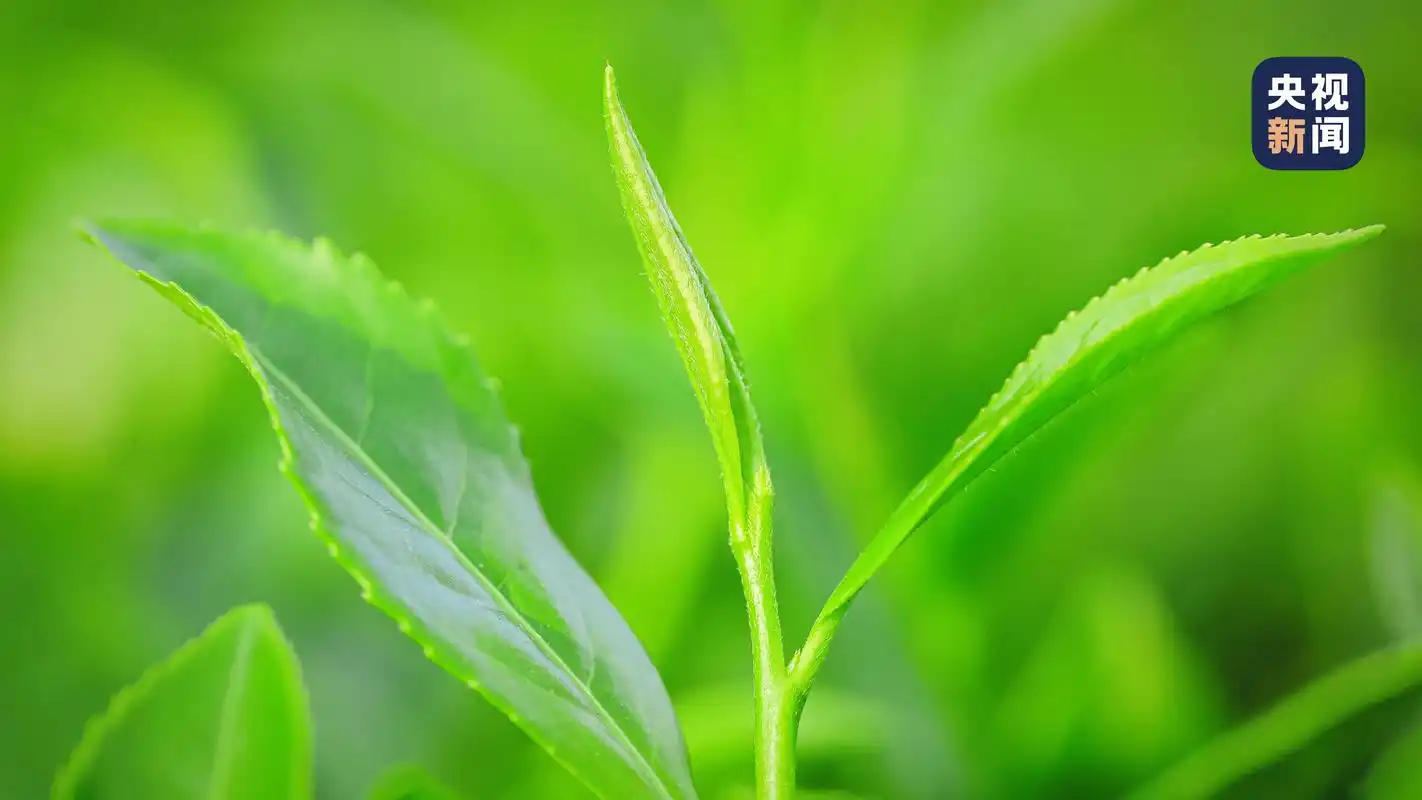 美美与共!与锦绣山河不期而遇