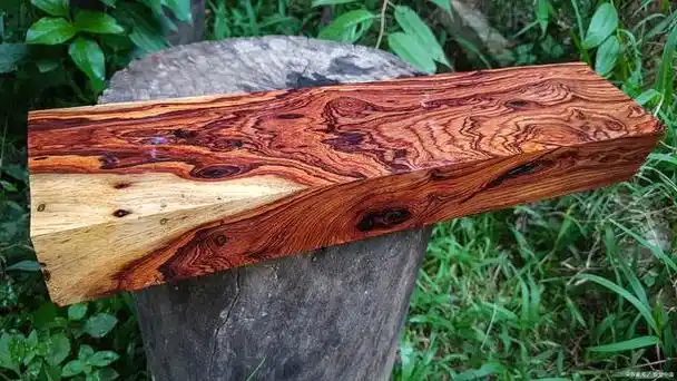 海南黄花梨是什么