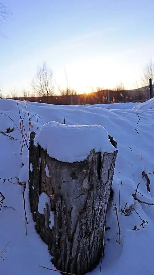 大兴安岭冬季森林雪景