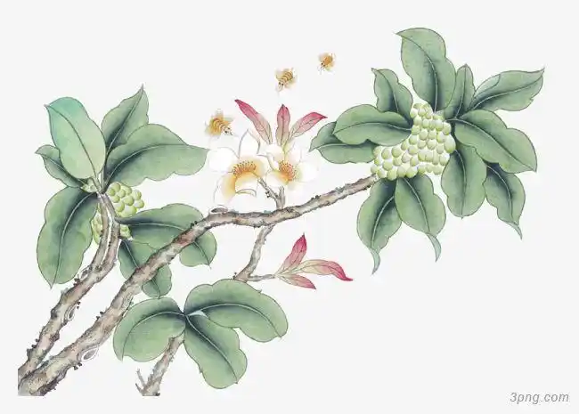 中国工笔画系列花鸟png素材透明免抠图片-其他元素