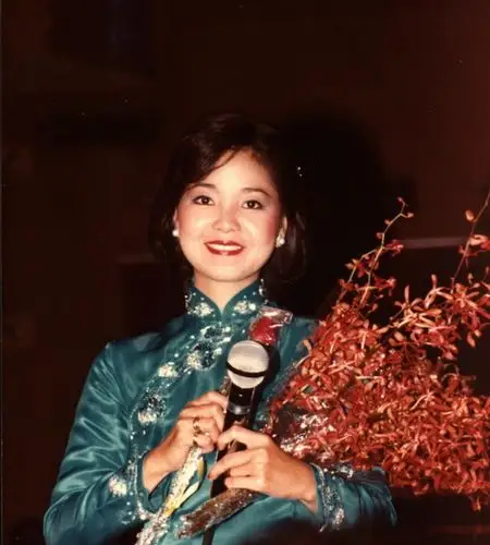 甜歌女王邓丽君 旗袍的最佳诠释者(5)