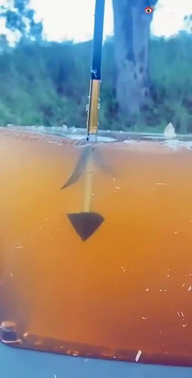 东厂发明的犬齿倒钩箭 东厂发明的犬齿倒钩箭,一旦中箭就无法取出