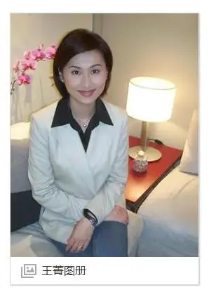 同居备孕!扒一扒何炅神秘女友王菁