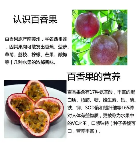 绿色的藤子,结紫黑色圆圆的果实,有点像罗汉果,里面