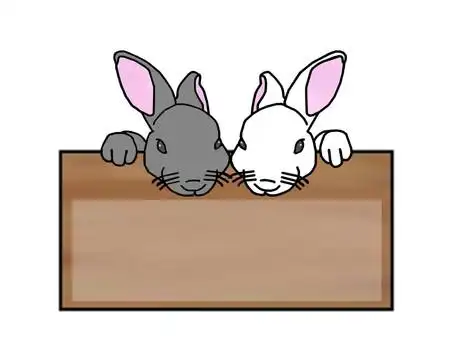 黑白兔子备忘录