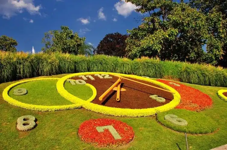 [分享]提升绿化档次的3大类色块苗推荐