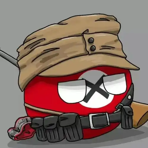 德国球立马变成波兰球