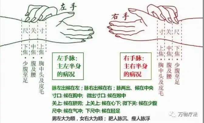 3,根据圆运动的原理来治病:我们左右手腕的寸关尺就是两个不同方向的