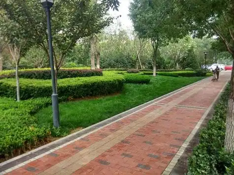 透水砖铺装做法有哪些 _齐家网