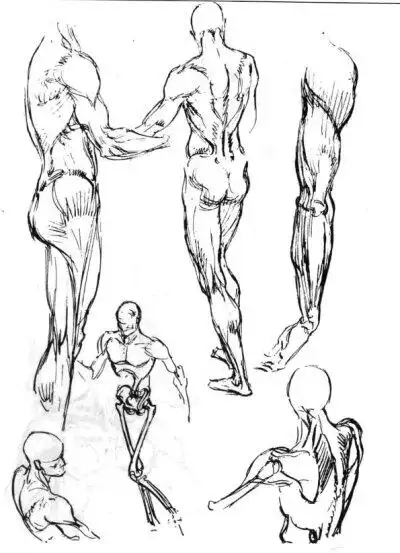 画- 堆糖,美图壁纸兴趣社区