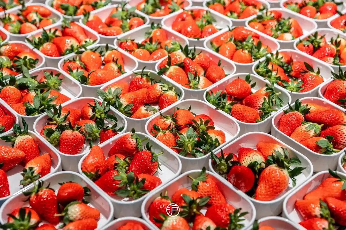 18000平ins风建筑设计,高档水果, - 抖音