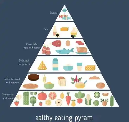 健康指南丨健康饮食,哲社制造