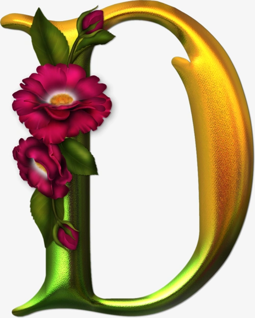 png设计大写英文字母d