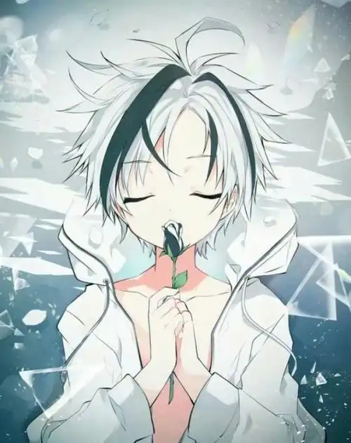 可爱呆萌男生动漫图片撒娇惯犯