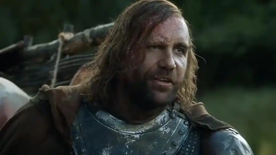 "猎狗"桑铎克里冈 - 一个真正的战士 #权游人物超燃混剪系列#_哔哩哔