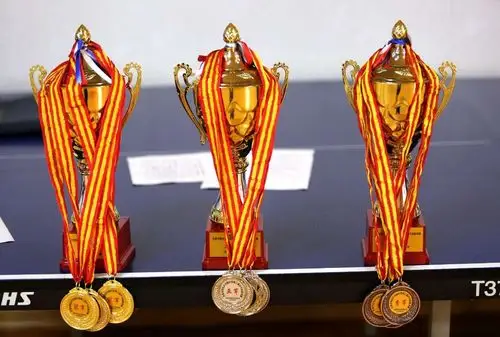 金灿灿的奖杯,是荣誉的象征.