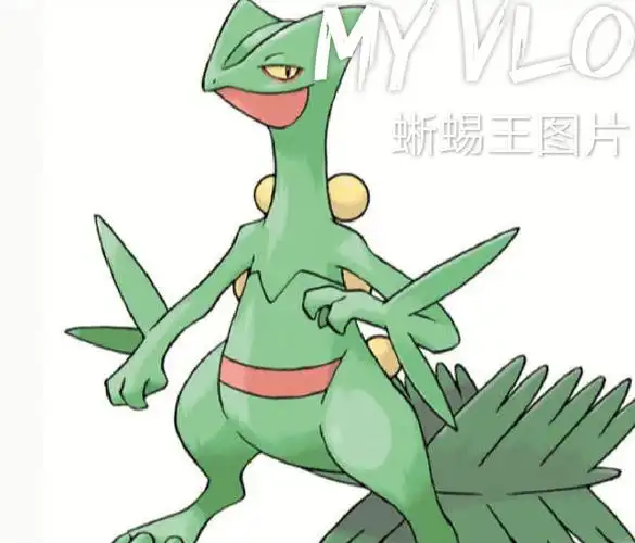 有谁喜欢蜥蜴王