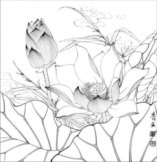 李晓明高清白描作品