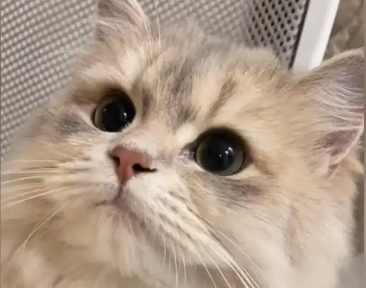 刘涛同学和晚晚现在怎么样了