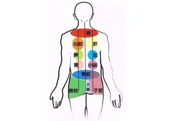 养生加我.需要刮痧,拔罐,理疗,排湿寒,解决便秘问题的可以找 - 抖音