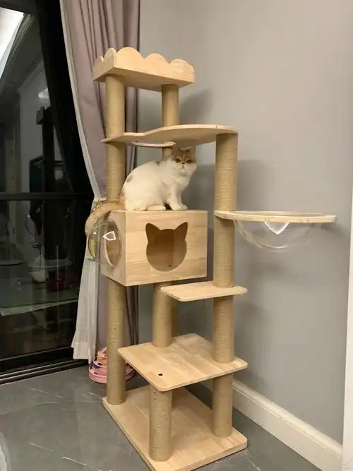 水星喵记全新纯实木猫爬架猫架大型豪华猫窝猫抓柱子剑麻绳猫别墅