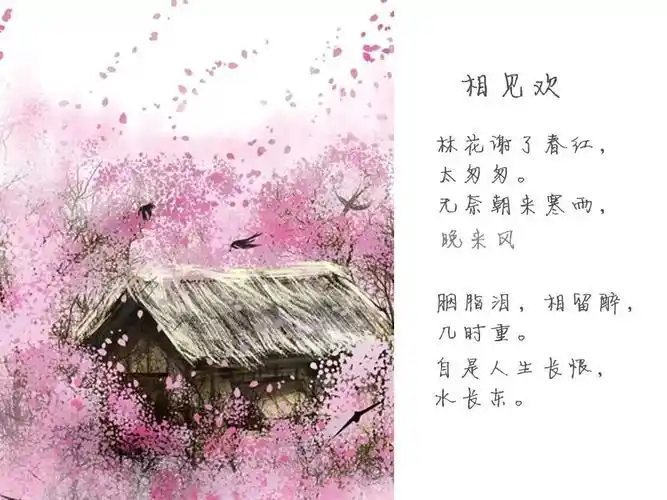 林花谢了春红太匆匆